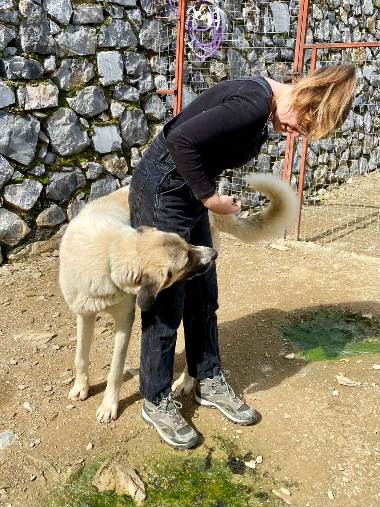 Streichelnde Hände werden immer gesucht.